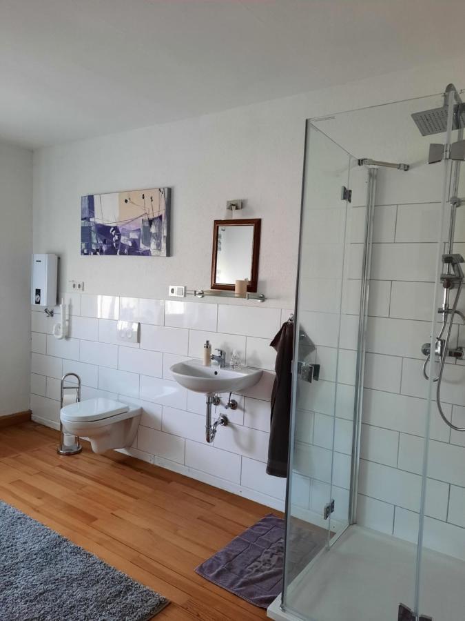 Ferienwohnung Am Rittershof Heusweiler المظهر الخارجي الصورة